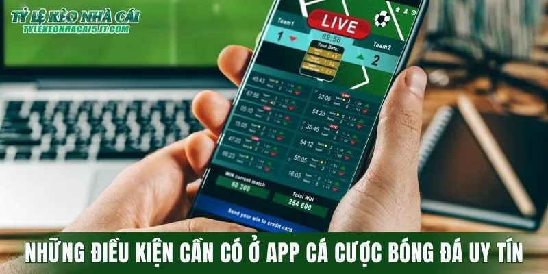 Những điều kiện cần có ở app cá cược bóng đá uy tín