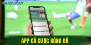 App Cá Cược Bóng Đá