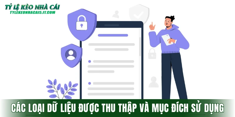Các loại dữ liệu được thu thập và mục đích sử dụng thông tin