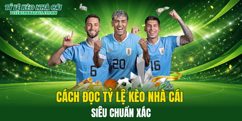 Hướng dẫn đọc tỷ lệ kèo nhà cái cực chính xác