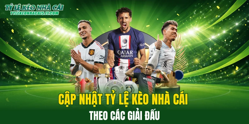 Hướng dẫn bạn cập nhật tỷ lệ kèo đơn giản