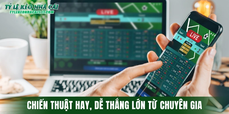 Chiến thuật hay tham gia cá cược bóng đá thắng lớn từ chuyên gia