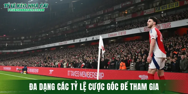 Đa dạng các tỷ lệ cược góc để hội viên có thể lựa chọn tham gia