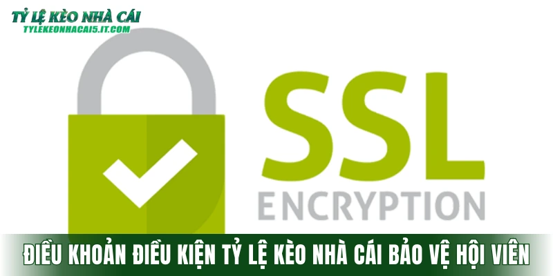 Điều khoản điều kiện tỷ lệ kèo nhà cái bảo vệ hội viên