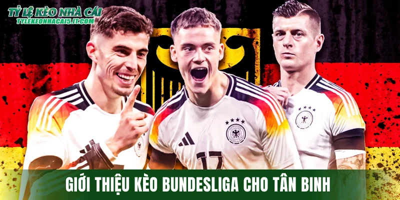 Giới thiệu kèo Bundesliga cho tân binh 