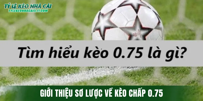 Giới thiệu sơ lược về kèo chấp 0.75