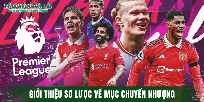 Giới thiệu sơ lược về mục chuyển nhượng