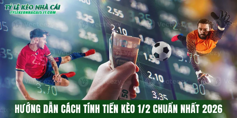 Hướng dẫn cách tính tiền kèo 1/2 chuẩn nhất 2026