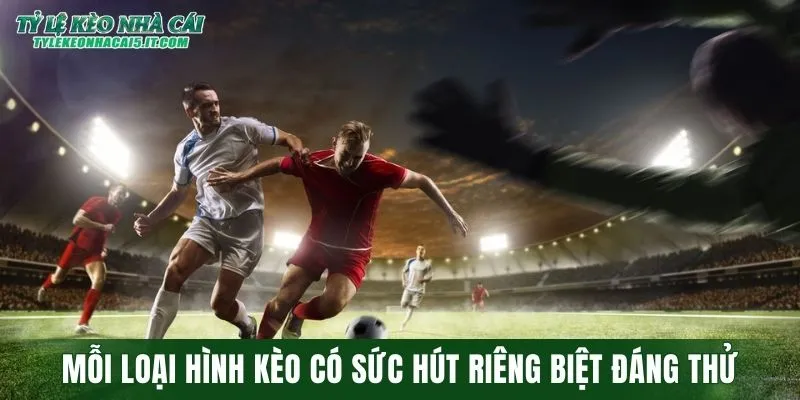 Mỗi loại hình cược có sức hút riêng biệt đáng thử