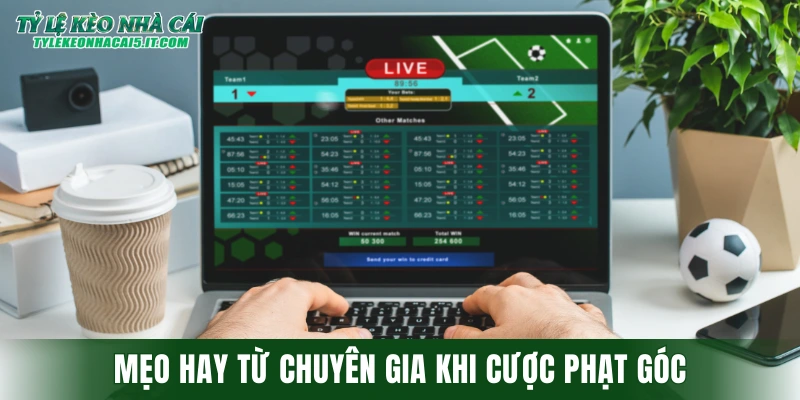 Mẹo hay từ chuyên gia dành cho newbie khi cược phạt góc