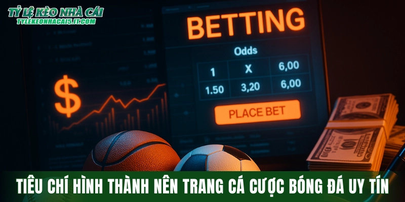 Những tiêu chí quan trọng hình thành nên trang cá cược bóng đá uy tín