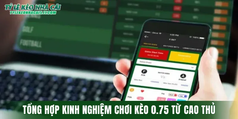 Tổng hợp kinh nghiệm chơi kèo 0.75 từ cao thủ