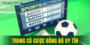 Trang Cá Cược Bóng Đá Uy Tín