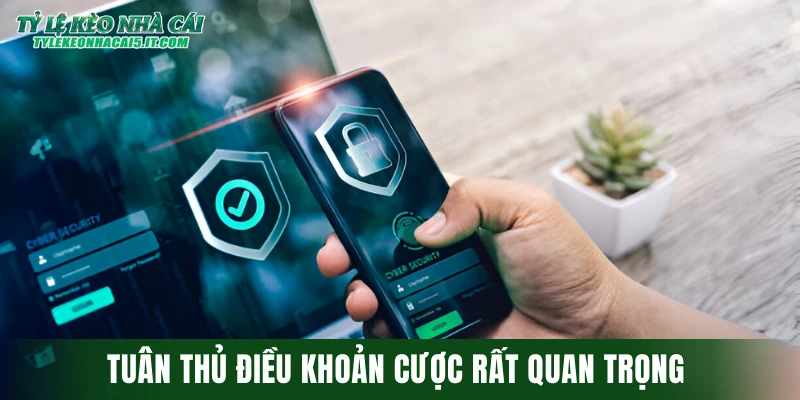 Tuân thủ điều khoản cược rất quan trọng