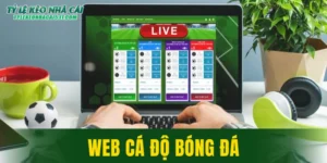 Web Cá Độ Bóng Đá