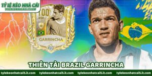 Thiên Tài Brazil Garrincha - Huyền Thoại Gục Ngã Vì Điều Gì?