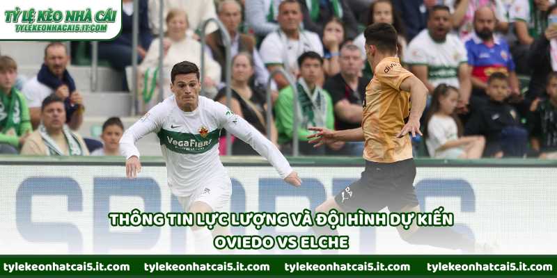 Thông tin lực lượng và đội hình dự kiến Oviedo vs Elche